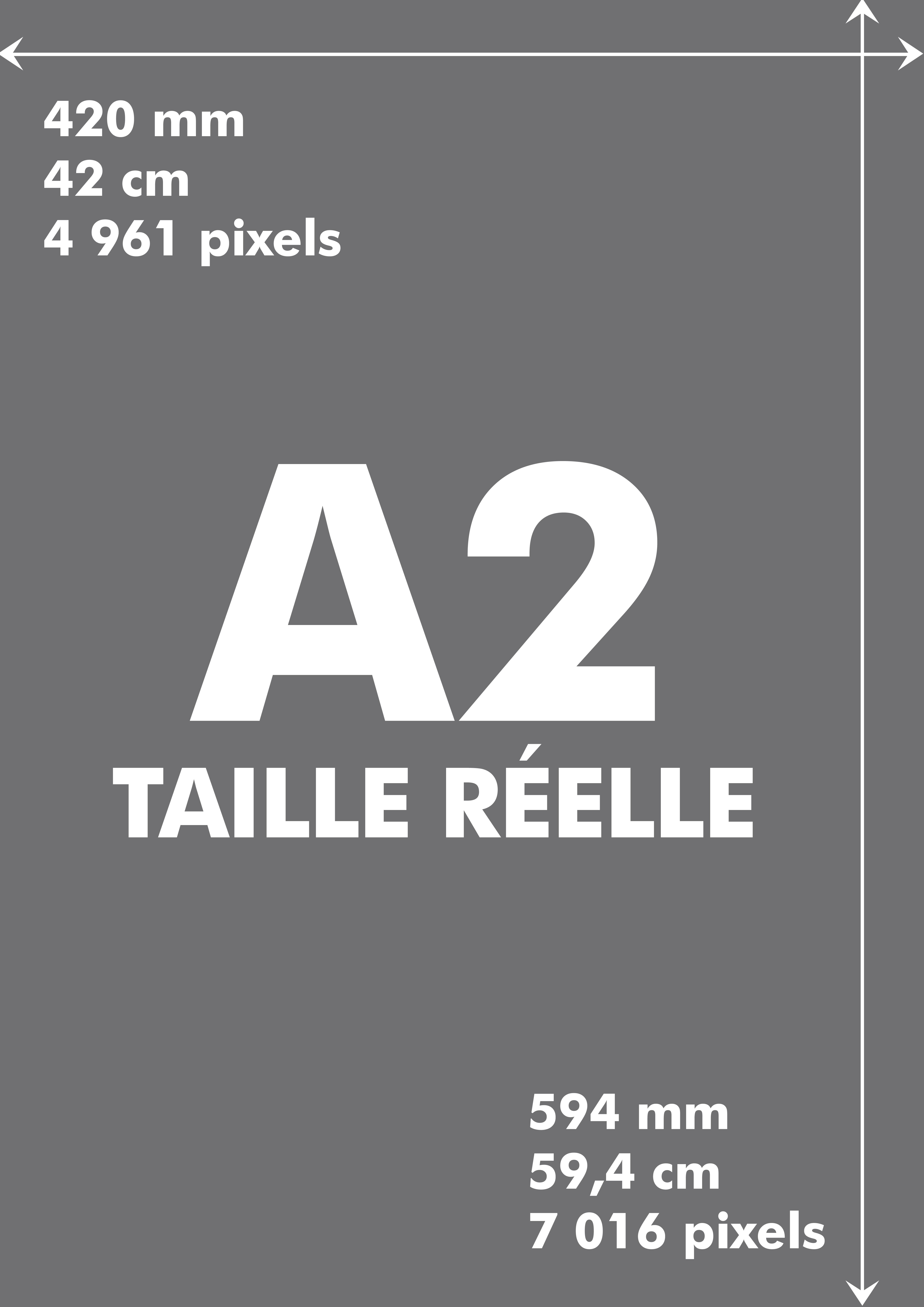 Format A2 : Image à taille réelle d'une feuille de papier format A2